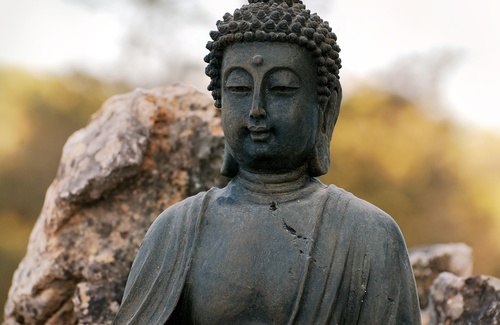La meditazione a Bologna