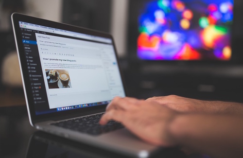 Le professioni del web