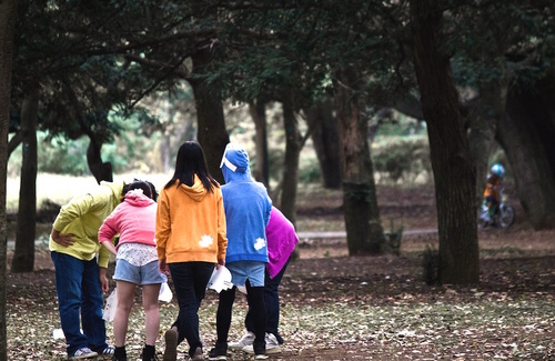 La funzione del branco nell'adolescenza