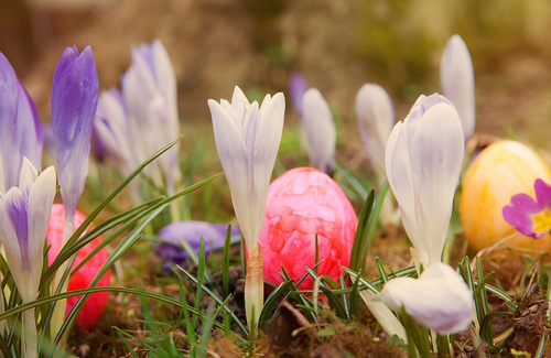 La Pasqua: momento di rinnovamento