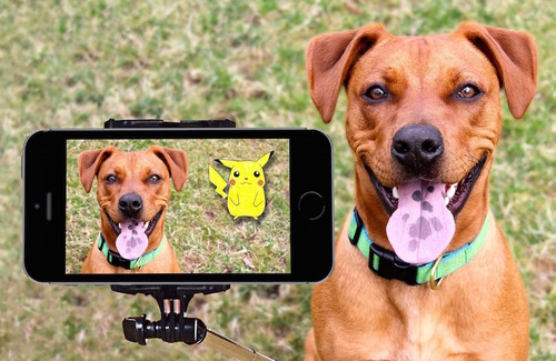 Pokemon Go: la nuova mania tra rischi e benefici