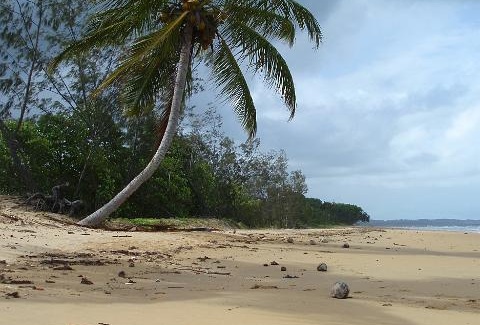 Psicologia del turismo alternativo: le motivazioni dell'ecoturismo