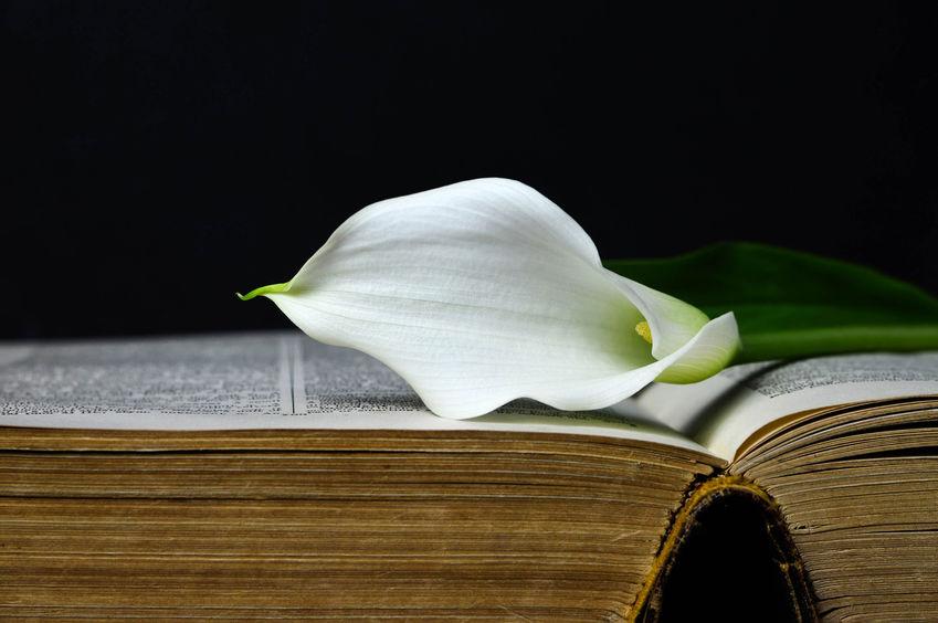 Libri per affrontare un lutto