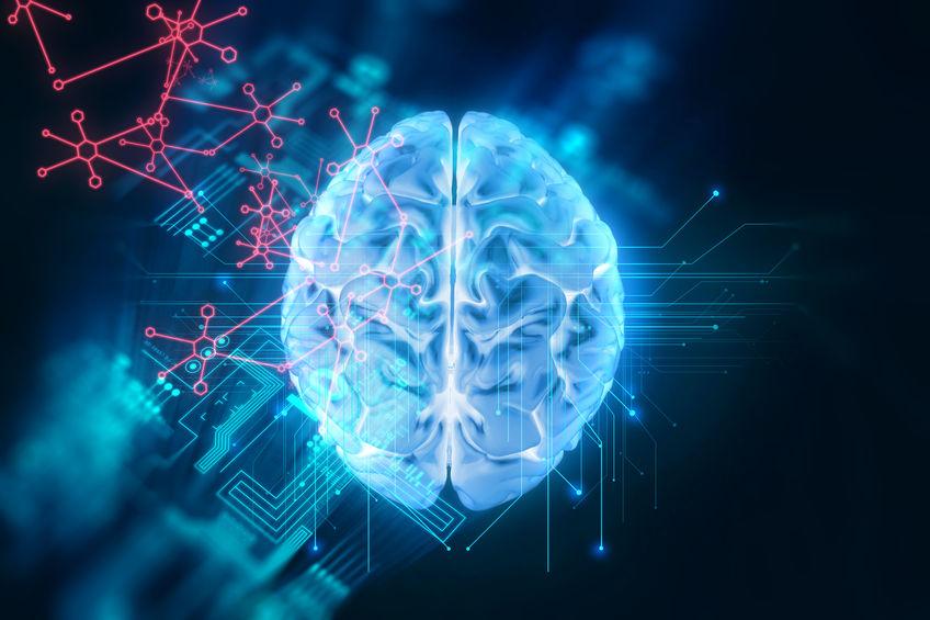 Neuroplasticità
